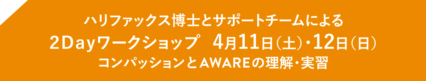 ハリファックス博士とサポートチームによる２Ｄａｙワークショップ4月20日（土）・21日（日）コンパッションとAWAREの理解・実習